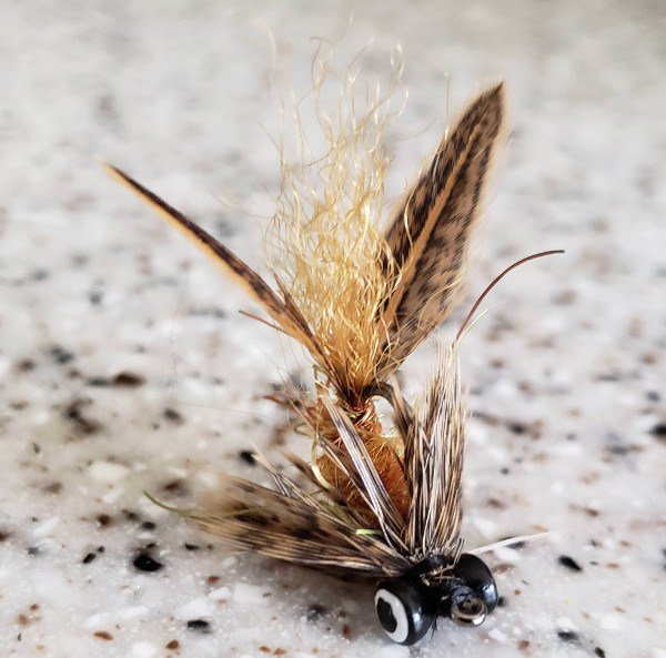 TheJigHead's tweet photo. 19 Great Flies for Targeting Carp https://t.co/9vX8XwPLYE #carp #flyfishing #flytying #flypattern #carp #carpfishing #flyfishingcarp https://t.co/dWrnaeB9DH