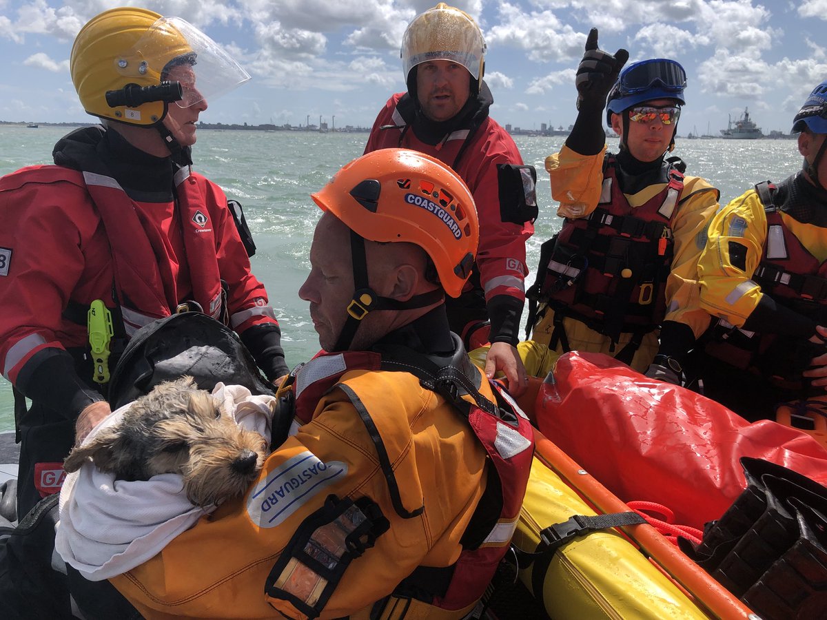 GAFIRS Lifeboat tweet media