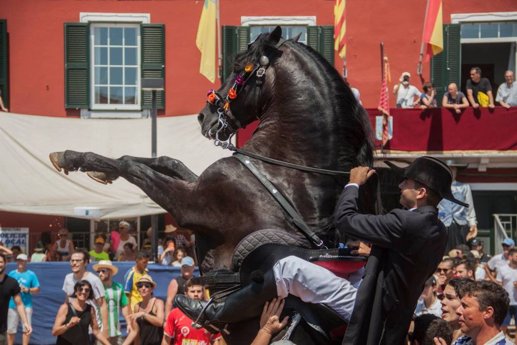 ellesacheval's tweet photo. Protagonismo absoluto del caballo Menorquín en las fiestas de Sant Jaume 2018 https://t.co/NcaNBBsLZc https://t.co/H65VAYdVJS