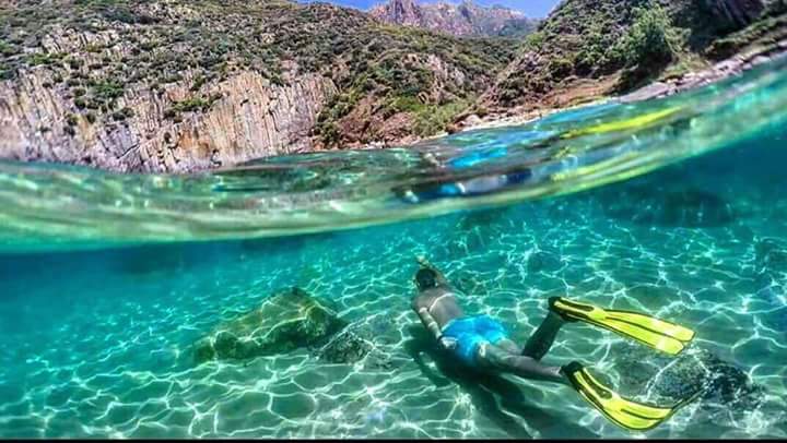 انها عنابة الخلابة 😍 الله يبارك 
Welcome to Annaba 🌴🏖 Algeria 🇩🇿
#اكتشف_الجزائر 
#بلادي_الجزائر