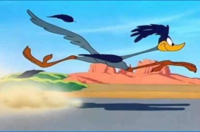 マキナ ルーニー テューンズのアニメに ロードランナーという猛スピードで走る鳥が出てきますがそれとキング プリムス スーパーバード に関連があったなんて T Co Ipc7xahw9h Twitter マキナ ルーニー テューンズのアニメに ロードランナーという猛スピードで走る鳥が出てきますがそれとキング プリムス スーパーバード に関連があったなんて T Co Ipc7xahw9h Twitter
