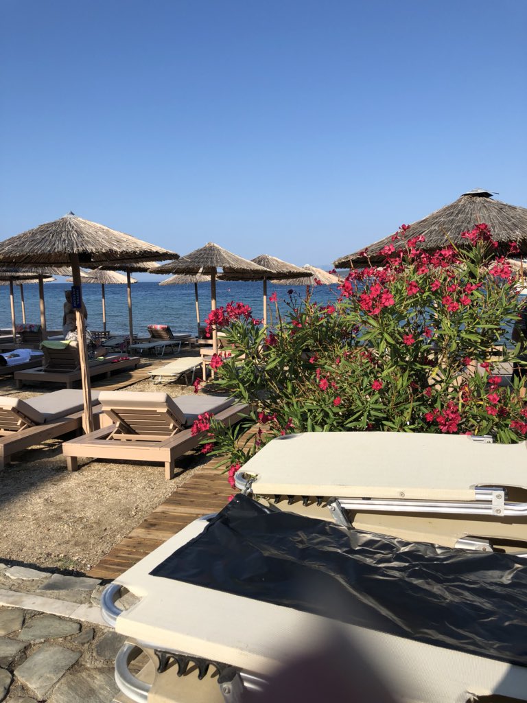 daniska66's tweet photo. A day on Greek isle of Evia # https://t.co/tv7eVxP2ca