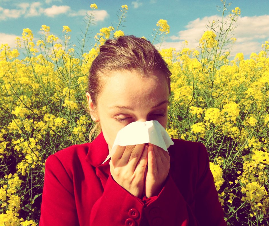 getcitysmart's tweet photo. The Cold Cough Flu conference is heading to #KansasCity!

Our friends at @sickweather are doing big things! Make sure to mark your calendars!

https://t.co/gBoKVOyfaM
#FluSeasonIsComing #ColdCoughFlu #AllergySeason #Allergies #Sick https://t.co/JhZbnHilUS