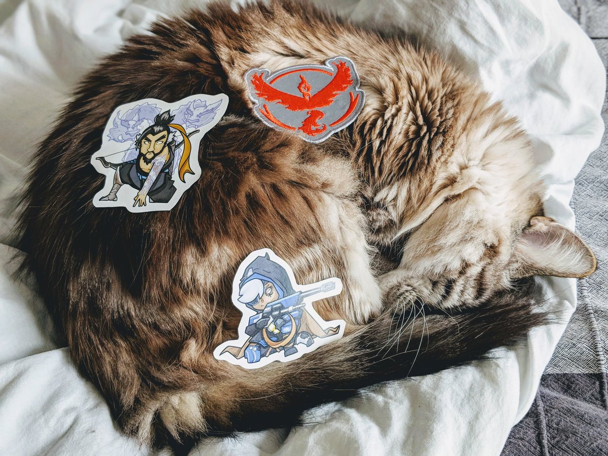 oooo <a href="/ngun/">Naomi</a> sent me overwatch and pokemon go stuff and my cat doesn't care but I love it #goodeggclub <a href="/thegoodeggclub/">The Good Egg Club</a>