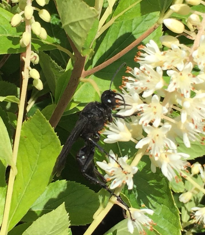 Thought of you today @chrissyteigen