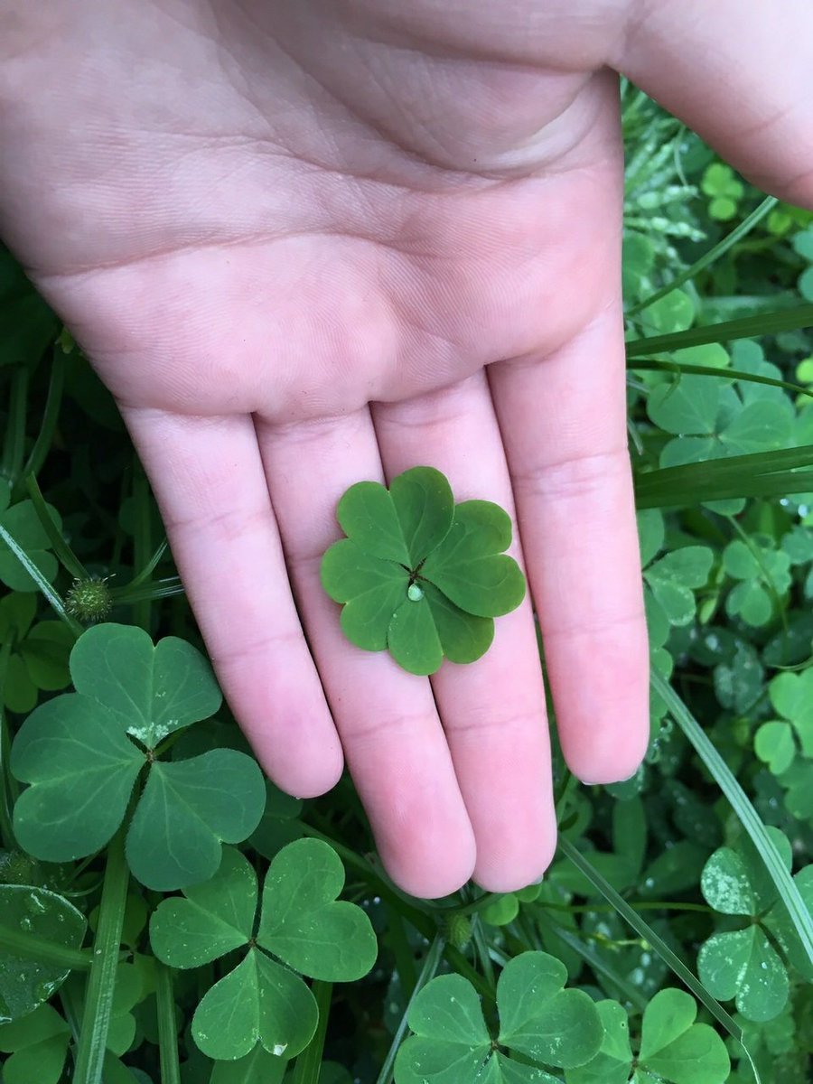 SluuckeCreative's tweet image. TREVO DA SORTE
RT EM 5 SEGUNDOS E ALGO DE BOM VAI TE ACONTECER HOJE