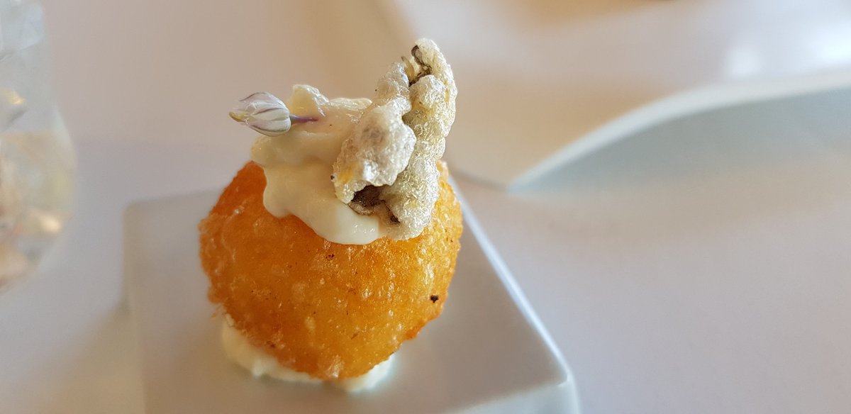 PhilippeRegol's tweet photo. Excelente comida en #CasaManolo 1☆ @manuelalonsof #Daimús #València Buñue
lo de bacalao.Gamba blanca con jugo de "bleda". Espectacular gamba, hervida 90 seg. https://t.co/7oCEVqAPlM