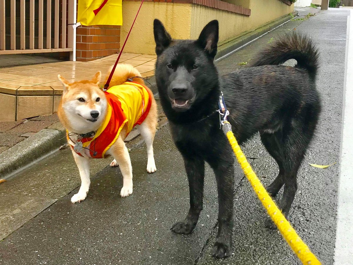 ボディアタックトラウマ