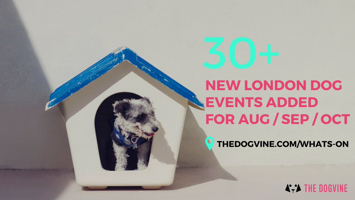 TheDogvine's tweet photo. We've been busy adding lots of fab events to the #LondonDogEvents calendar with 30+ new events added for August - October in &amp; around London! #Londondogs have the best social life! Plan your doggie diaries &amp; get all the deets ➡️ https://t.co/A3rdEBiijl 🐾 #dogfriendly #whatson https://t.co/YXxlJP8OVH