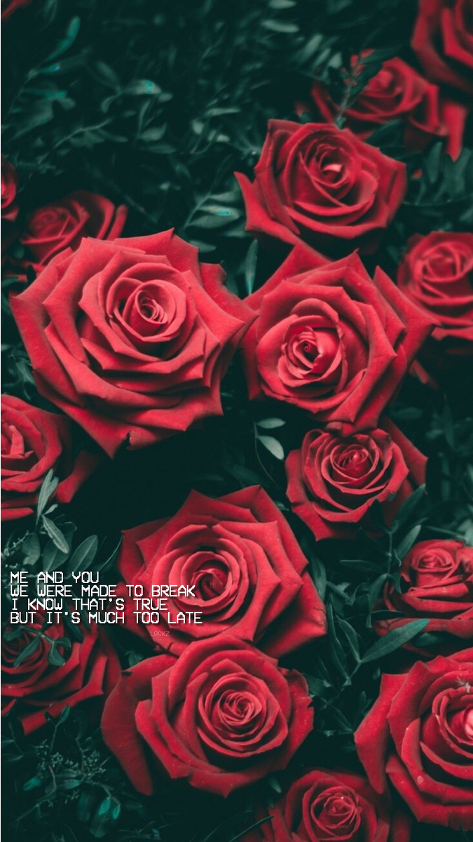 lockzscreen's tweet image. Random 🌻
× rt se salvar
× mande print se usar /duda