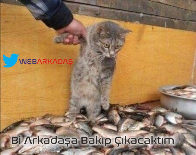 Bi Arkadaşa Bakıp Çıkacaktım!!! #EnKlişeYalanlar