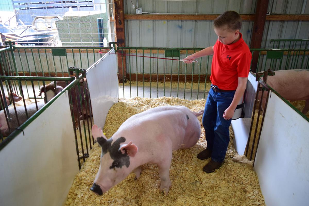 MPMorningSun's tweet image. 4-H family wins several titles at #IsabellaCounty Fair bit.ly/2vhjsOC
