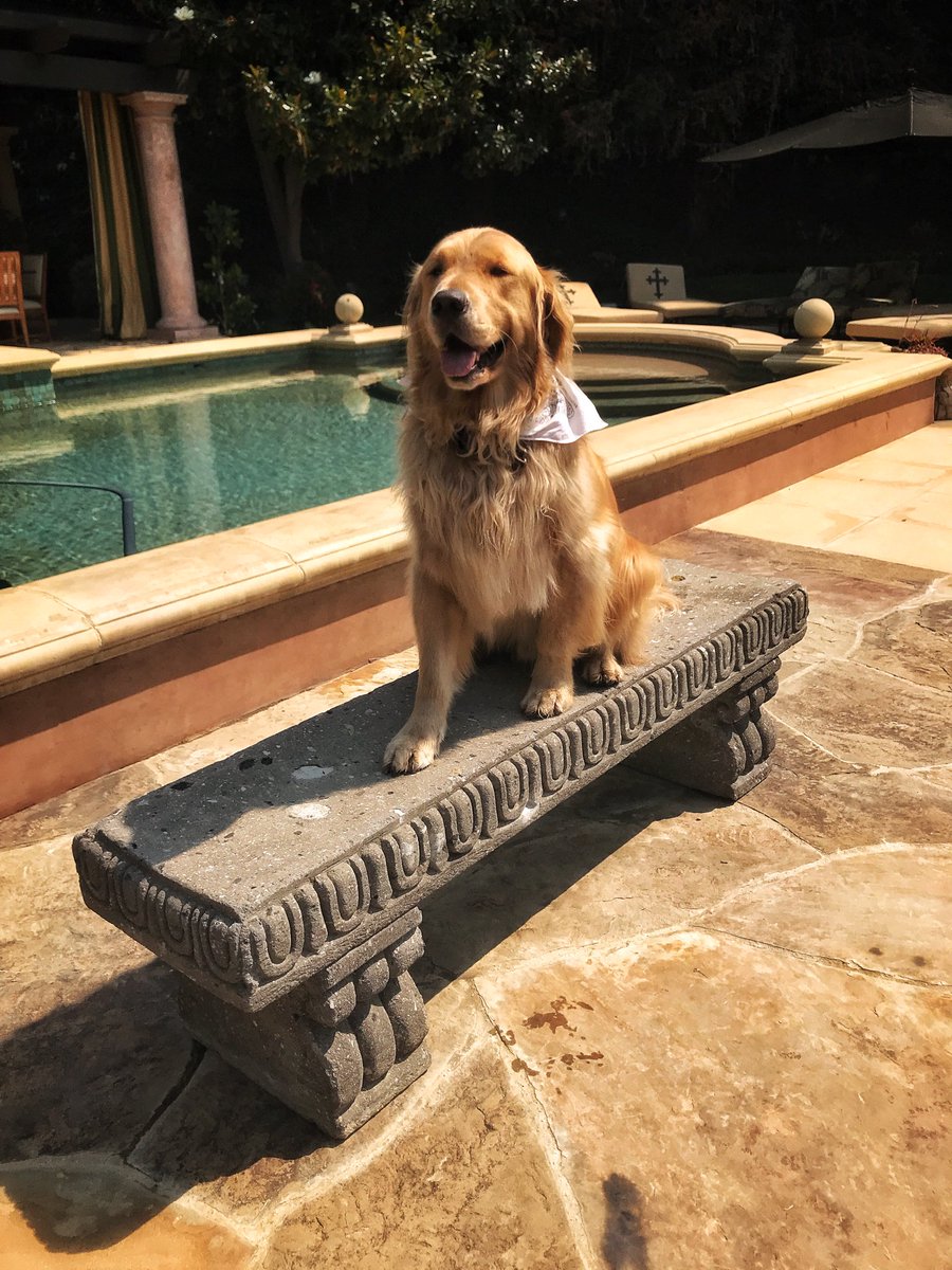 So this is how the weekend is gonna start.....😂