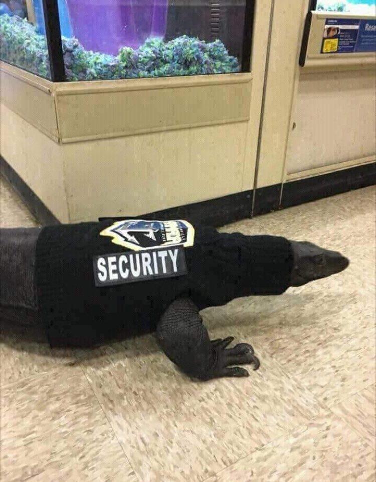 Notes from Underweb (@nfuofficial) on Twitter photo This is how we will protect our borders from stinky immigrants! <a href="/RealSheriffJoe/">Sheriff Joe Arpaio</a> #MAGA This is how we will protect our borders from stinky immigrants! <a href="/RealSheriffJoe/">Sheriff Joe Arpaio</a> #MAGA