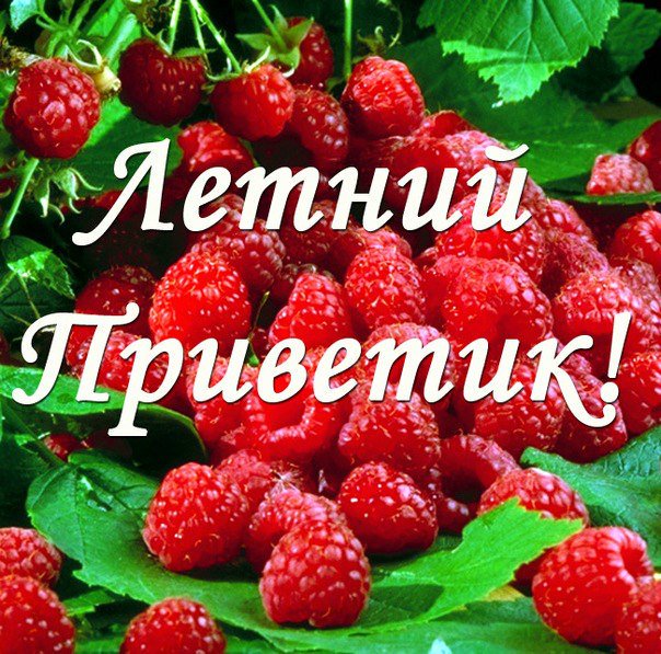 Утренний приветик картинки с надписями, живые
