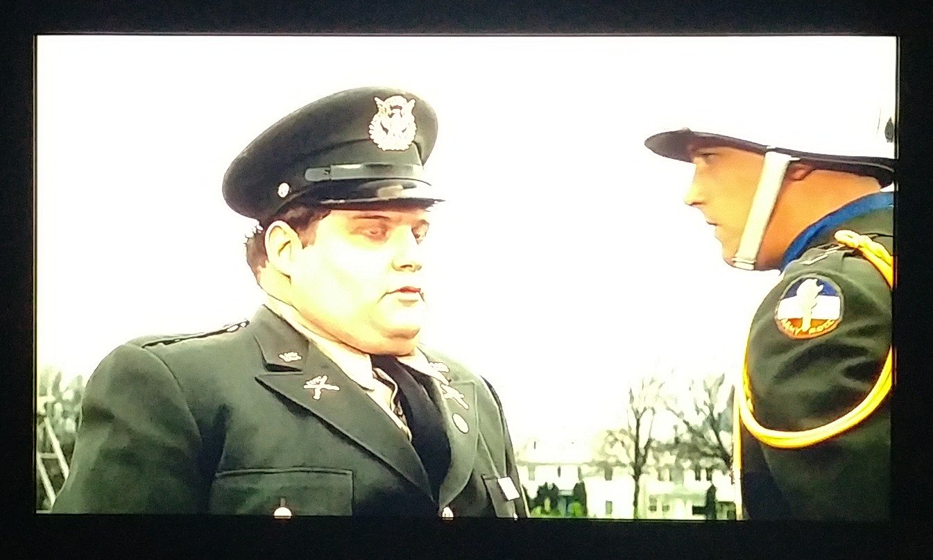 Stephen Coleman Jr. on Twitter "Liam's first viewing of Animal House