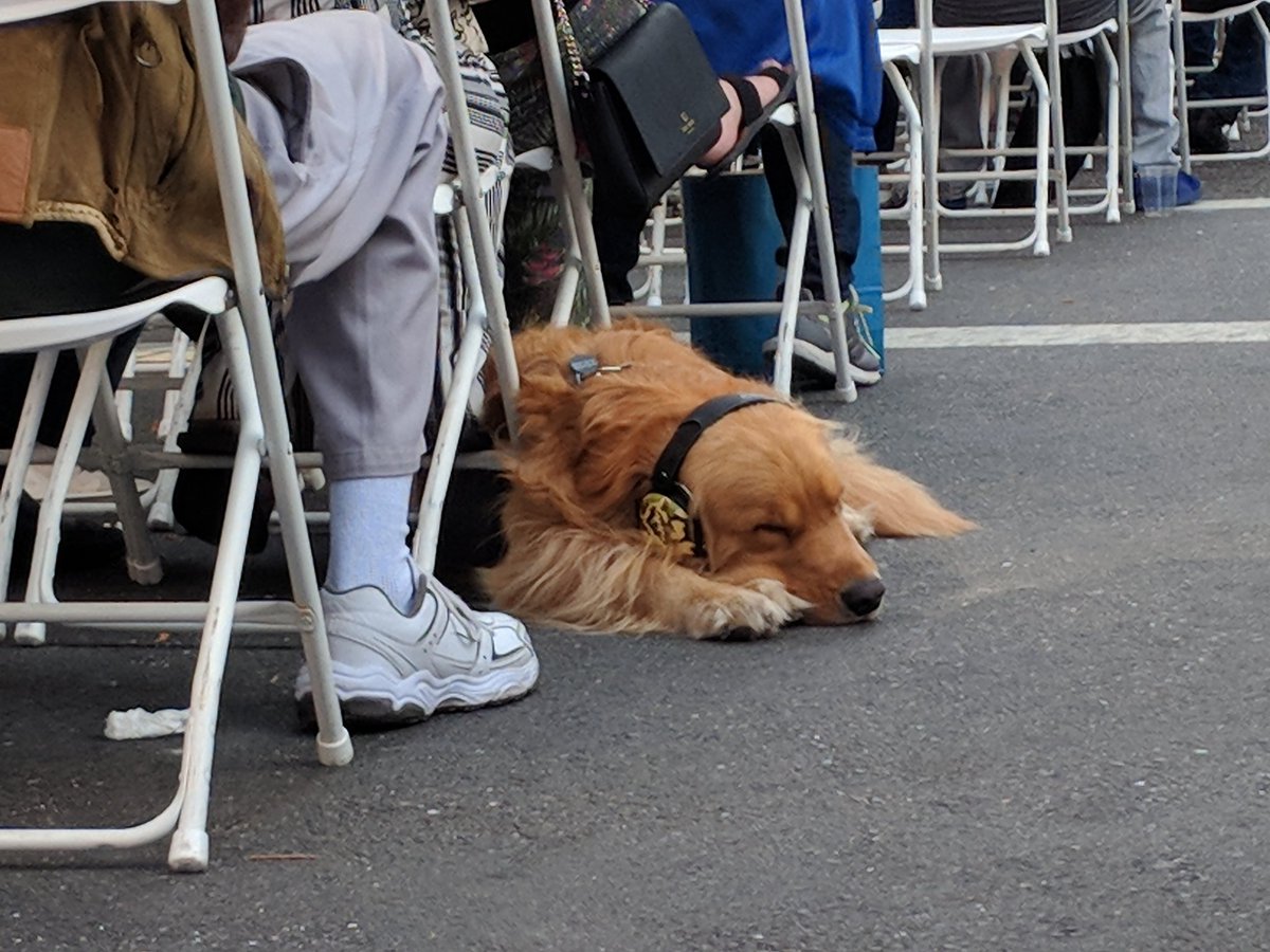 Carrie Whitehead tweet media