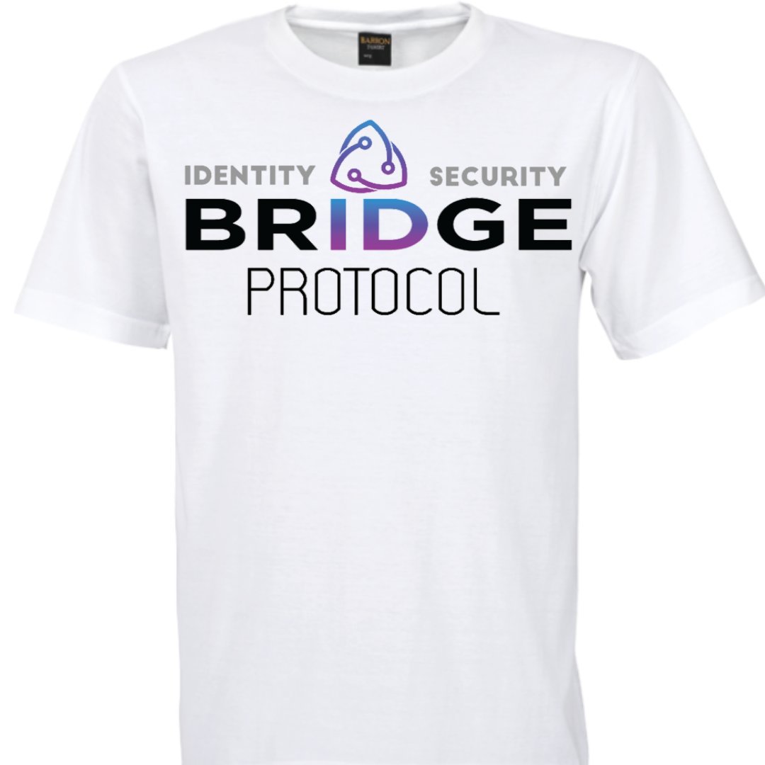 303nate's tweet image. #BridgeProtocol