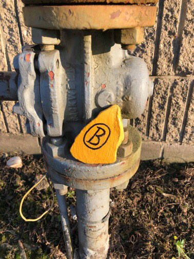 ByronSup531's tweet photo. Itβs happening!!! #SuperSlueths. Already!!! These boys found a rock at the Byron pool and a favorite summer memory so far has been baseball and hiking! #ByronBears #ByronRocks π€π https://t.co/3RLnbpqDoH