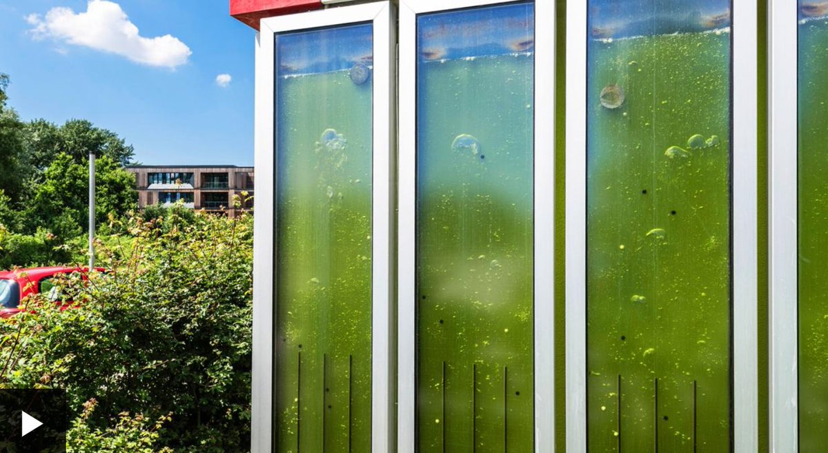Bi q. "Дом из водорослей", Гамбург, Германия. Дом с водорослями в Гамбурге. Биофасад biq House. "Дом из водорослей", Гамбург, Германия 2023.