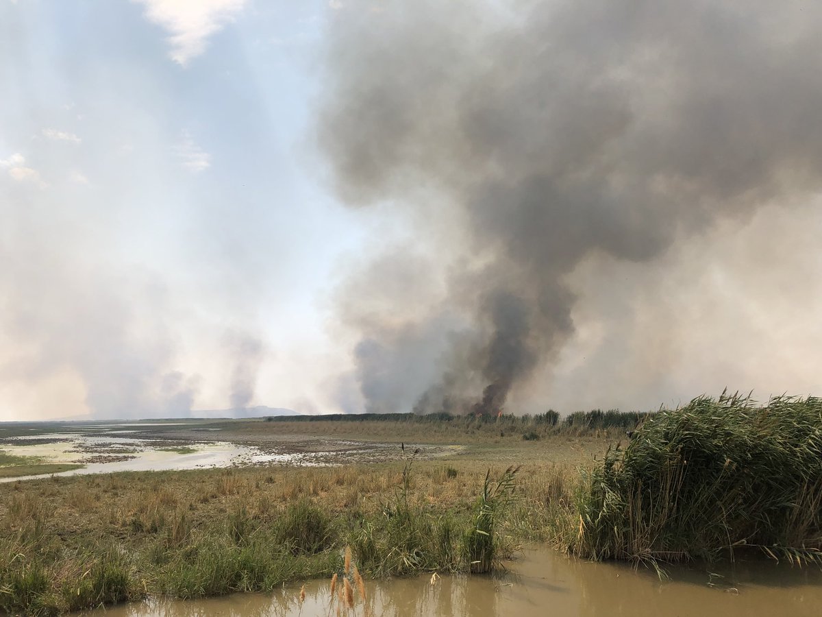 UtahWildfire's tweet photo. The #refugefire is located on the Ogden Bay, northwest of Hooper. Resources are on scene. Estimated 150 acres. https://t.co/ienJ79qvok