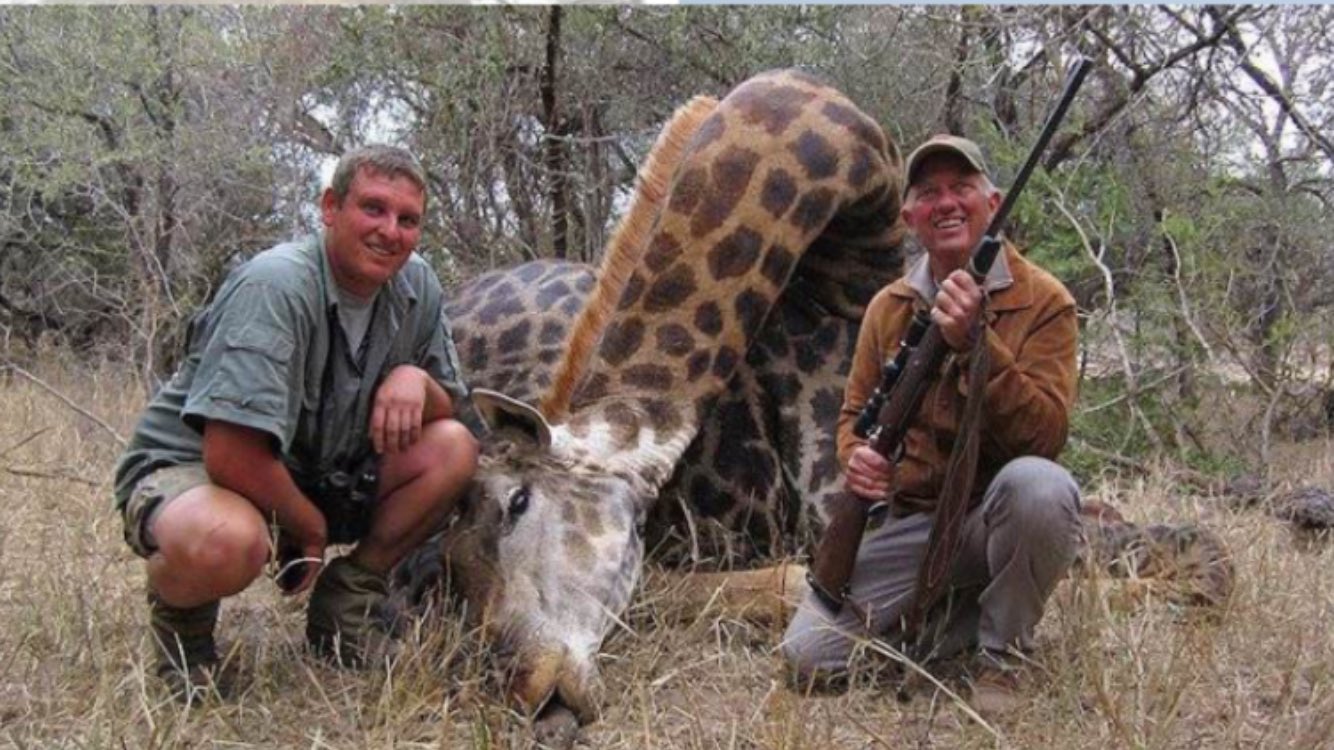 A voice for animals on Twitter: "#trophyhunting #AnimalKingdom #