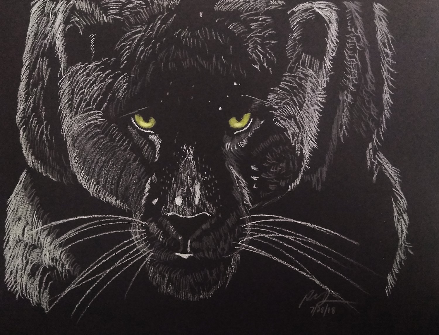 Ricardo Jean on X: Black Cat Chiaroscuro Prismacolor Pencils on Black  drawing paper #Art #Artwork #Drawing #Chiaroscuro #BlackCat #BlackPanther  #ColoredPencil  / X