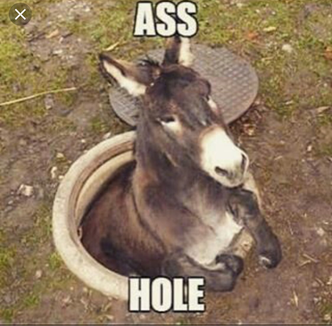 ICantEven001's tweet photo. Joke of the day courtesy of 17 year old son who finds this hysterically funny !!! Your welcome!!! #teenagehumor #boyjokes https://t.co/tTTcX86T8N