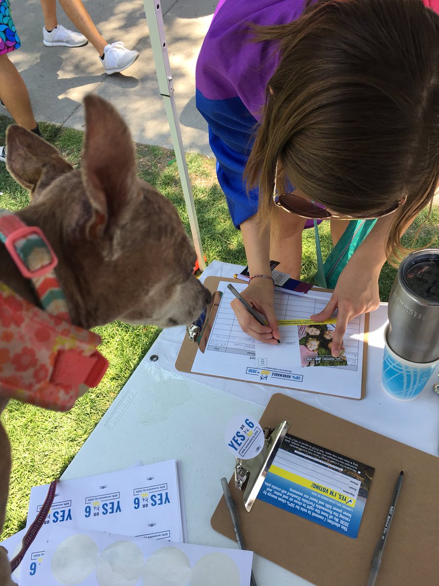 CleanFutureNV's tweet image. Kiwi knows that #Question6 is the only guarantee for 50% renewables by 2030. Come visit our #PrideReno table to learn more about why you must vote #YESon6.