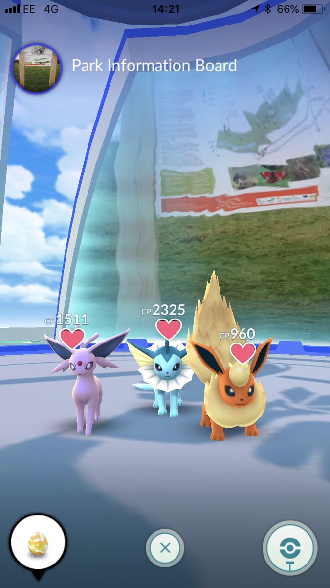 ChesterPoGo's tweet image. Family goals 👪 
#pokemonGO #eevee #themegyms