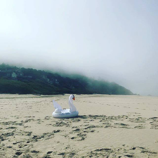 doughnutdame's tweet photo. Leaving the fog on the coast and headed back to this delightful heat! Looking forward to seeing y’all at the @centralkitsapfm this Tuesday afternoon. #doughnutdame #oregoncoast #cannonbeach #swanfloat #queen #foggy #farmersmarket #pnwonderland #beachlife https://t.co/t7zH7EzbhR https://t.co/GWDT4mAQZY