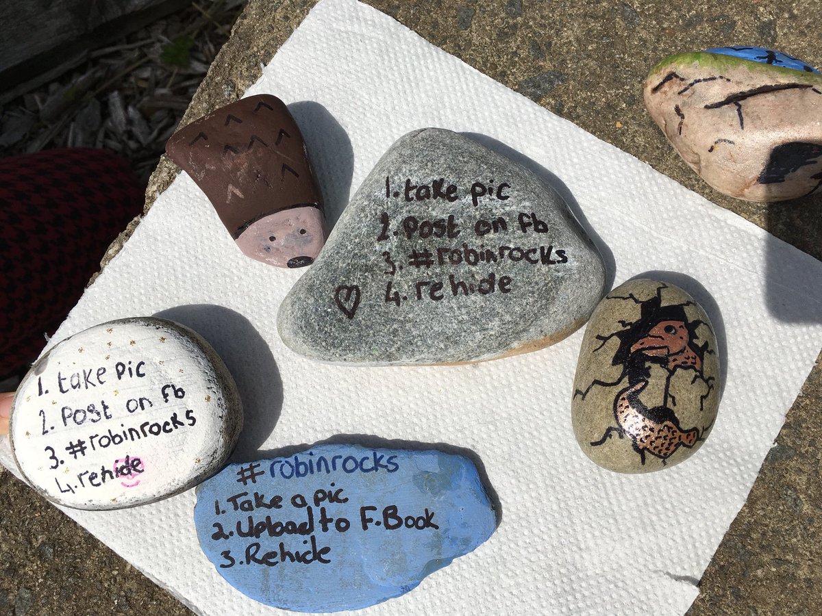 trumps72's tweet photo. Started a FB page: #robinrocks to promote awareness for CHAS Robin House, one of the two childrenβs hospices in Scotland. *get a rock *decorate *add #robinrocks *hide it! If you find one, upload a pic to #robinrocks and rehide it. #robinhouse #supportCHAS #CHASrobinhouse https://t.co/tsy363ldgP