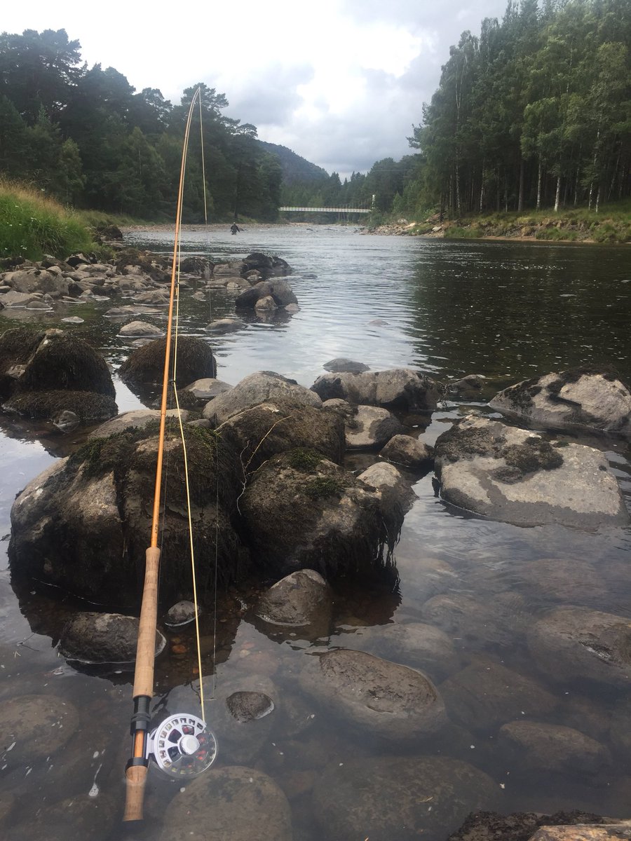 DeeDonSalmon's tweet photo. Good to be out on the #RiverDee again with a bit of water flowing down it. Hopefully more to come! #SalmonFishing #UpperDeeside #LetItRain #InvercauldBridge https://t.co/ENjkeeEXkq