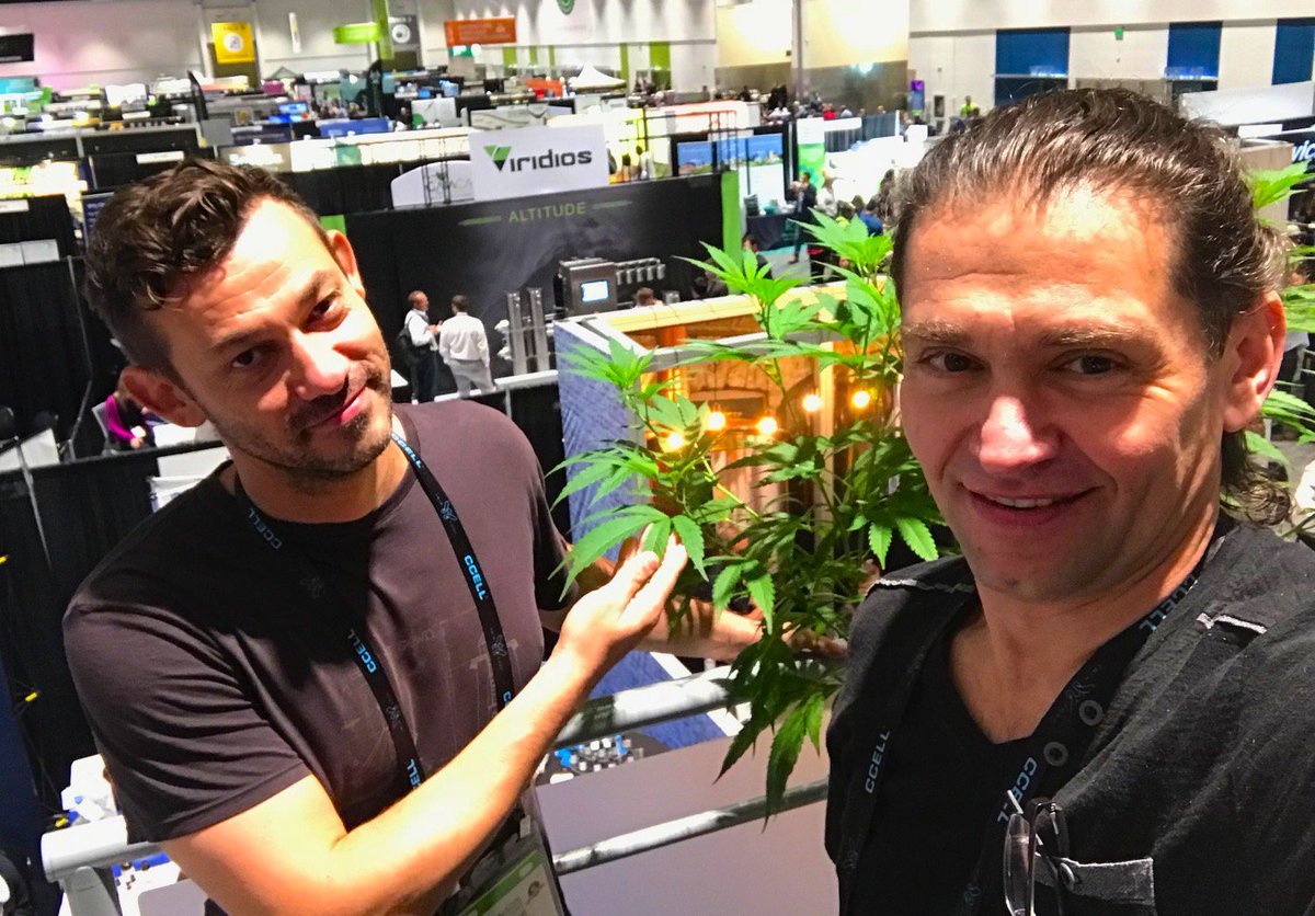 FarmacyBliss's tweet photo. Overlooking the Expo Hall at #CannabizSummit next to a beautiful #hemp plant! #WhyWereHere #CBD #Hempheals https://t.co/ajln3rjWzq