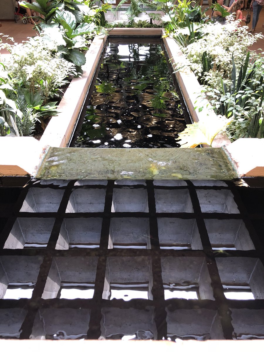 Ryan Cook (@ryancook63) on Twitter photo 