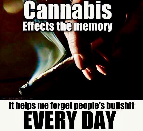 When Your Selective Memory Fails You... #BlazeUp!!