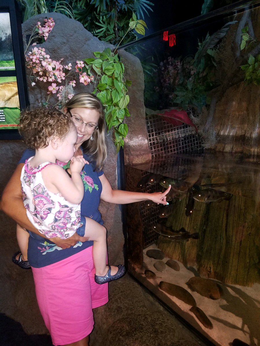 GibbonsScience8's tweet photo. Great day at Ripley's Aquarium in Myrtle Beach! Thank you NC/SC Educator discount. https://t.co/A5NT9N4fzy