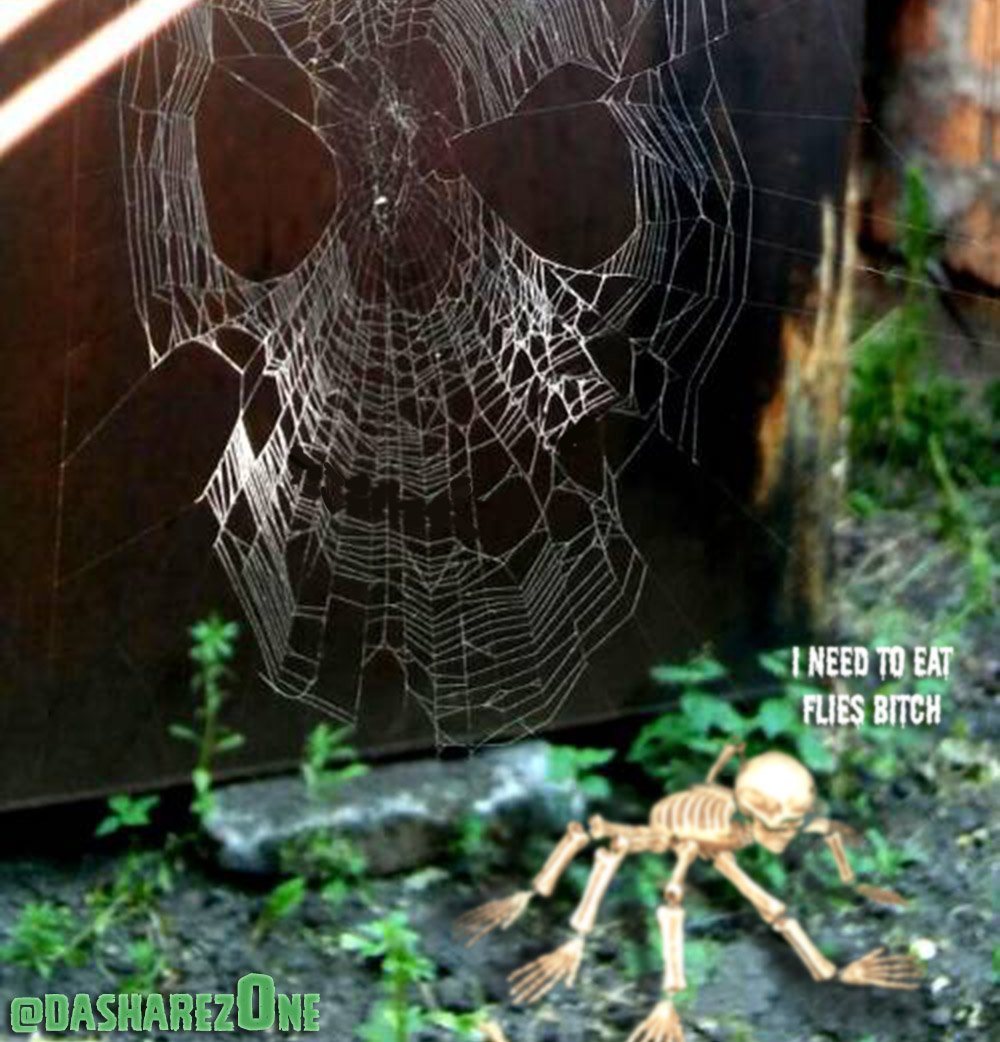 WELCOME TO DA WEB - https://t.co/Qtp3PuUDXE ADMIN