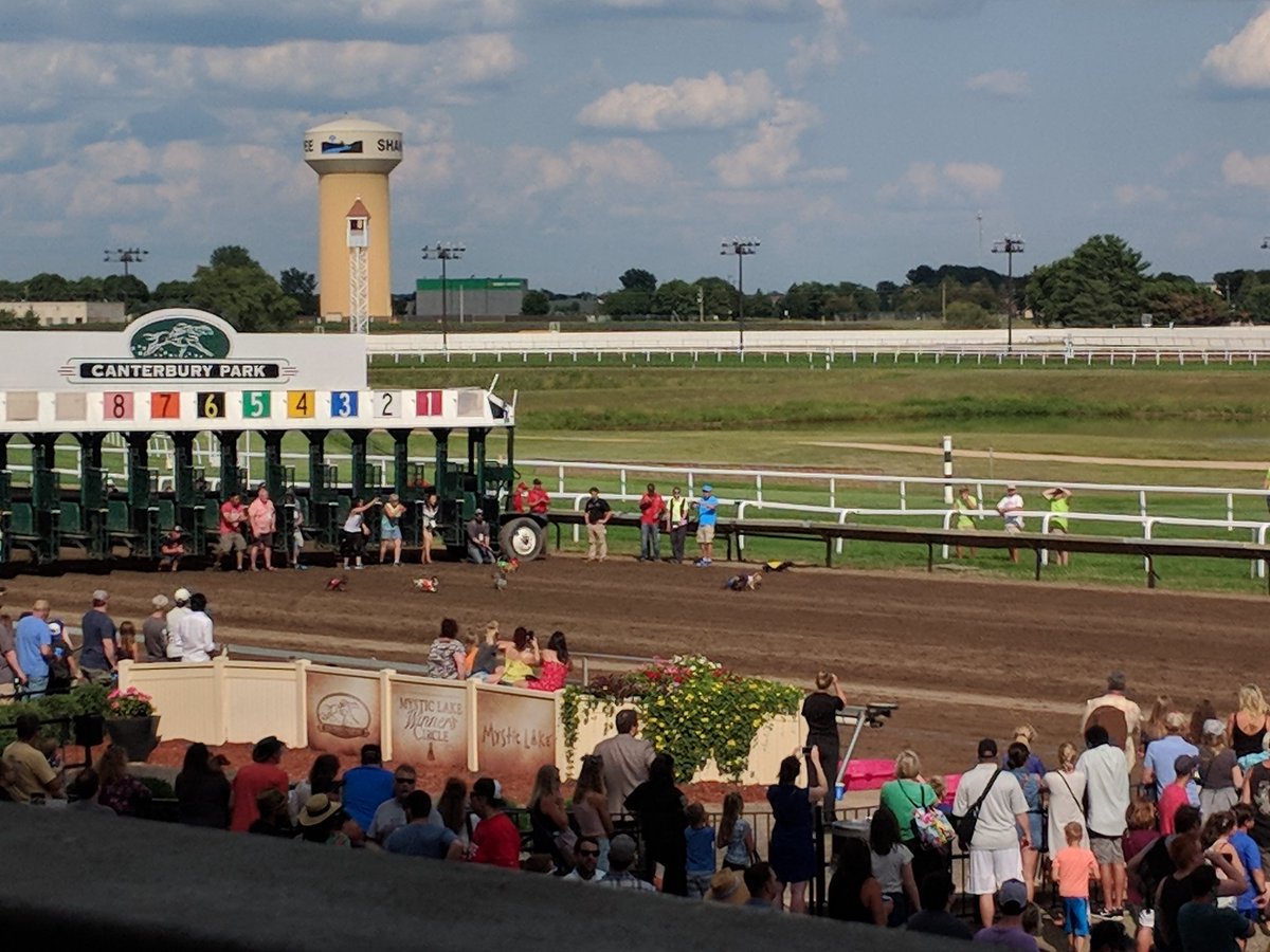 CoachFoltz's tweet photo. Race of the day @CanterburyPark Ringo the 3 legged Dachshund wins the final heat of the day to advance to the finals! #welldone #legitspeed #Ringodontneedyourpitty https://t.co/A2nFYgRq2V