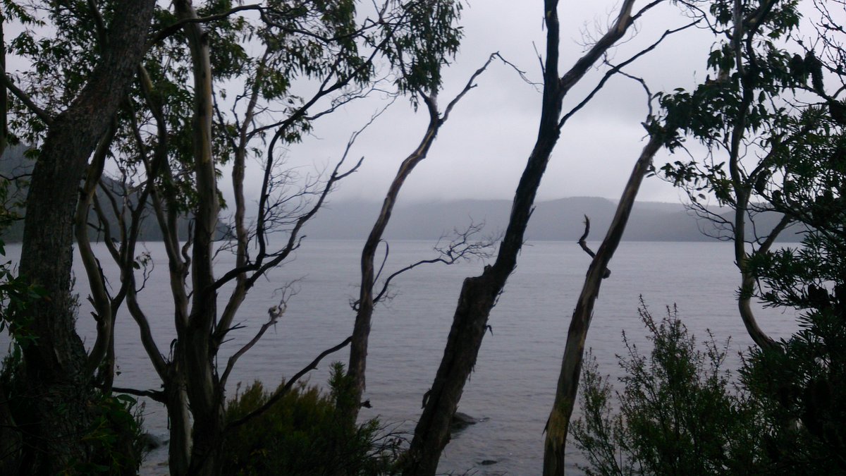 TraversingTas's tweet photo. Want to walk the wilderness? Head to Lake St Clair National Park. Post now up on https://t.co/F6qEuVnX1h.

#lakestclair #lakestclairnationalpark #60greatshortwalks #tasmania #discovertasmania #australia #seeaustralia #hike #roamtheplanet #stayandwander #moodytones @TasmaniaParks https://t.co/hkGs5TKomT