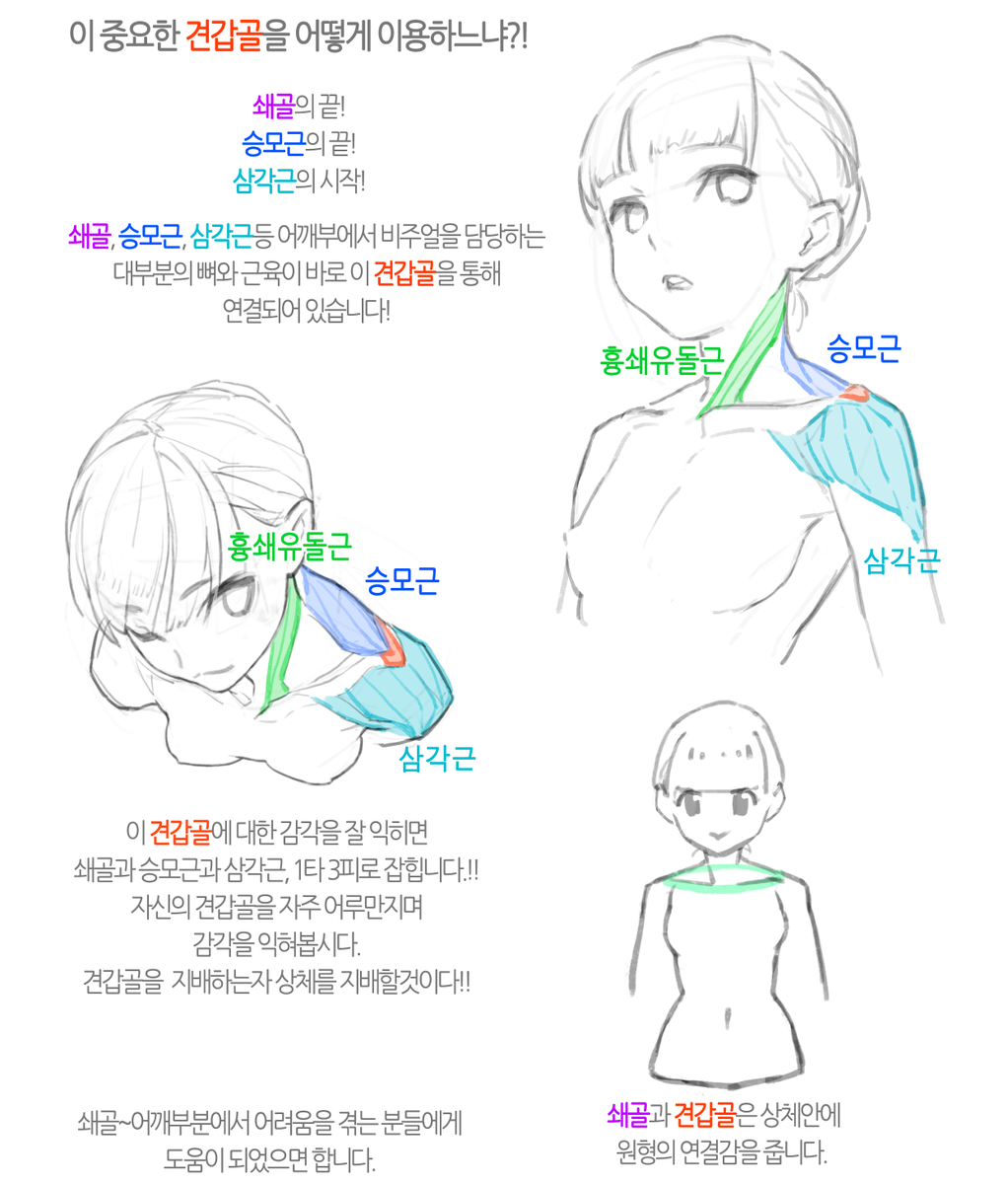어깨부분 튜토리얼
정신없이 쓰다보니 너무 길어졌네요ㄷㄷ 