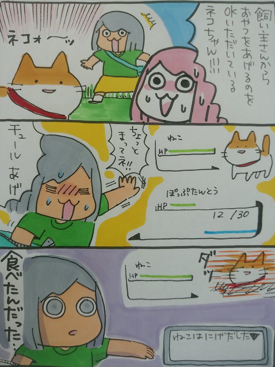 【ポップ担当日記】
ネコちゃんに「食べたんだった・・・」と伝えて笑いかけたらロケット花火みたいに走ってゆきました。
#ポップ担当日記 #ねこ