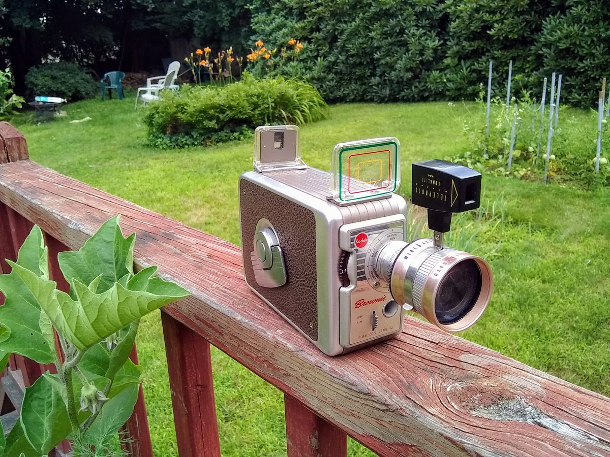 Fun little Brownie I found on the side of the road. #photographylove