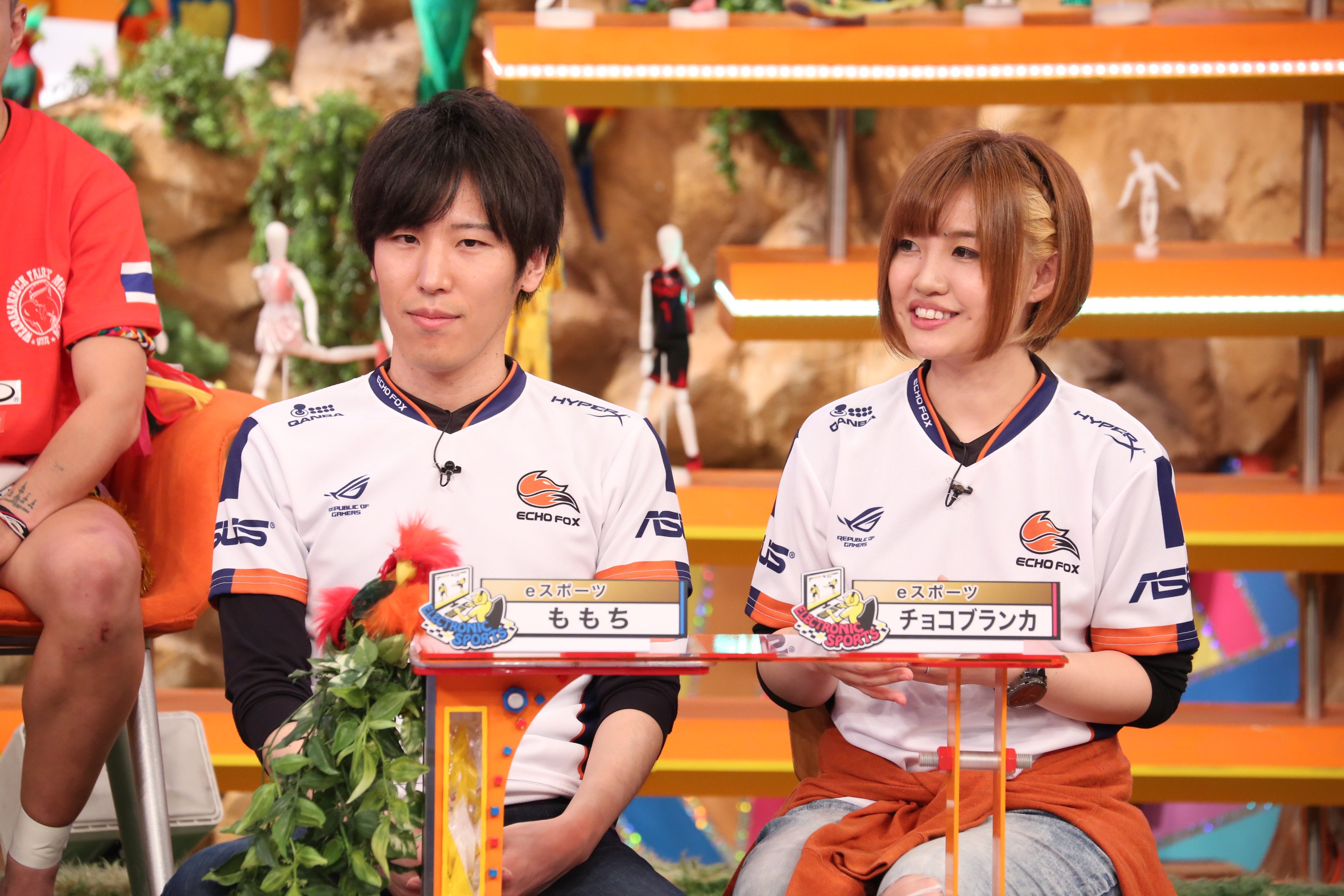 Raheel Raheel Twitter