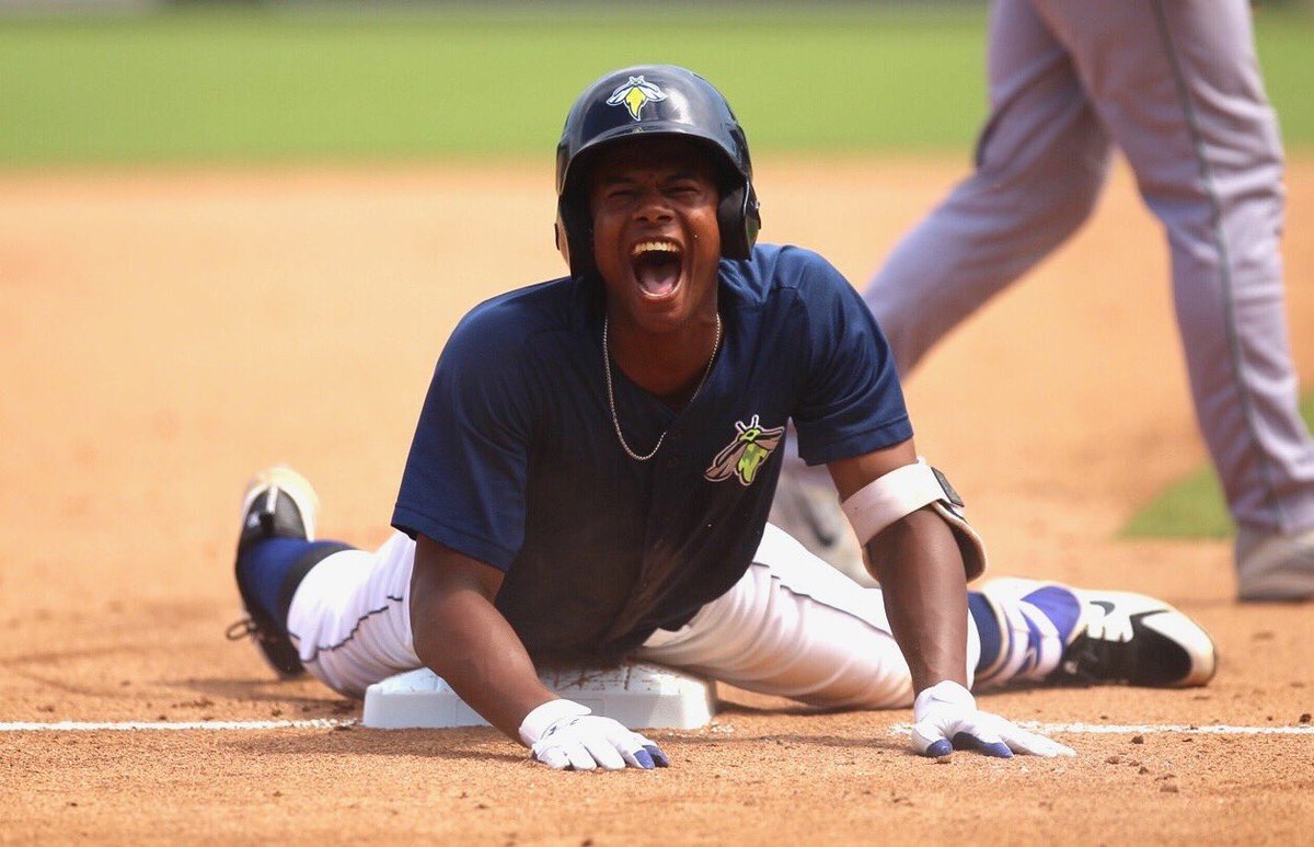 Columbia Fireflies tweet media