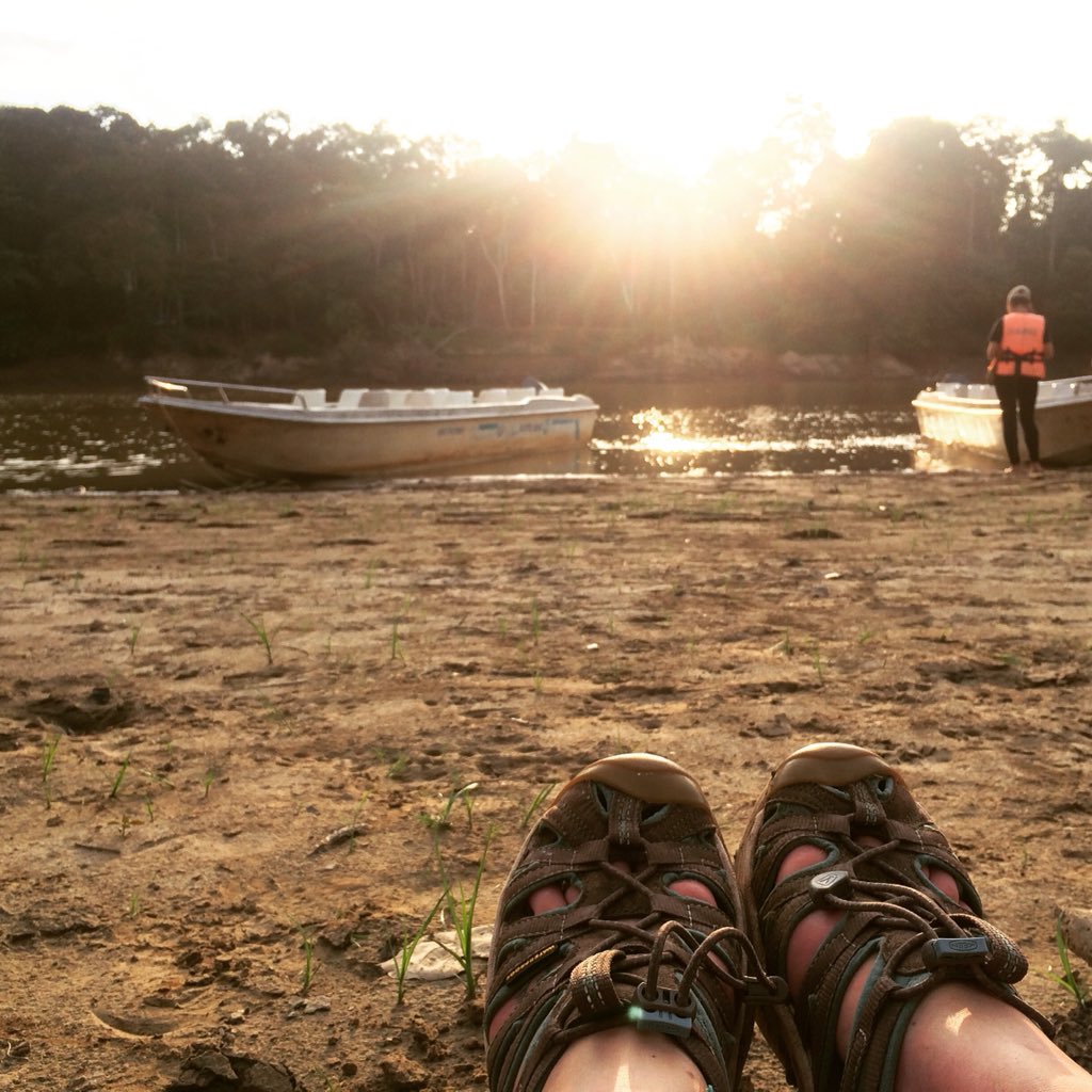 Jungle sunset after a sweaty day rescuing endangered trees from #palmoilplantation 
Now these trees can grow to encourage wildlife back into the area. Life is good 💚

#campsinternational <a href="/campsint/">Camps International</a>  <a href="/theyestribe/">SayYesMore</a> #expedition #borneo #savetherainforest <a href="/keeneurope/">KEEN Europe</a> #conservation