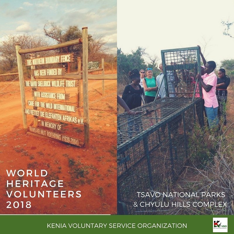 Day 13 of the WHV Tsavo camp 2018
Tracking of animal population and traping of a lion to bring it back to the national park reserve together with #kenyawildlifeservice
#kvsokenya