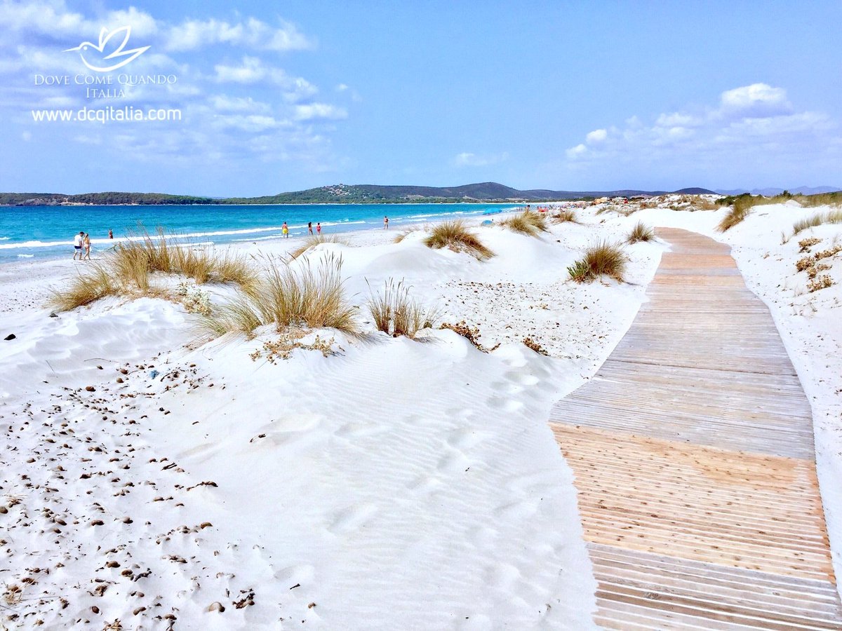 Portopino Hashtag On Twitter