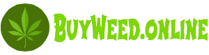 DomainWebShop's tweet photo. #Weed Domain For SALE - Make an Offer

https://t.co/IConrHKX1U 
.Online New gTLD Domain Names

#Cannabis #online #Marijuana #CBD #Vape #Canna #WeedShop #MJ #Dispensary #DomainsForSale #gTLD #MMJ 
#Domains #SEO #Marketing #adwords https://t.co/CmGQE5VLwm