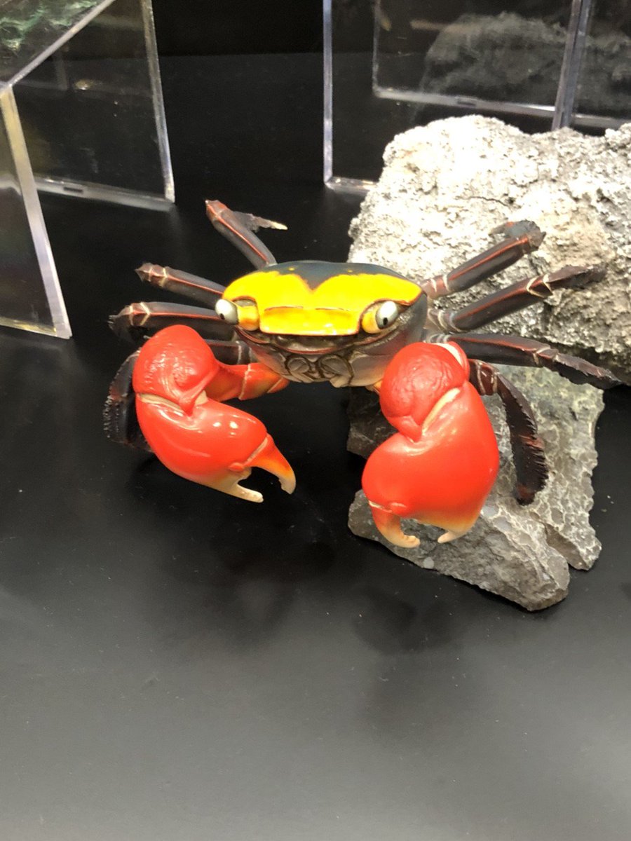 figsoku's tweet photo. 【海洋堂】新作シリーズ「アースロポッズ（仮）」

https://t.co/nIe9CPCWgv
#wf2018s #ワンフェス https://t.co/mtIu8z6EK3